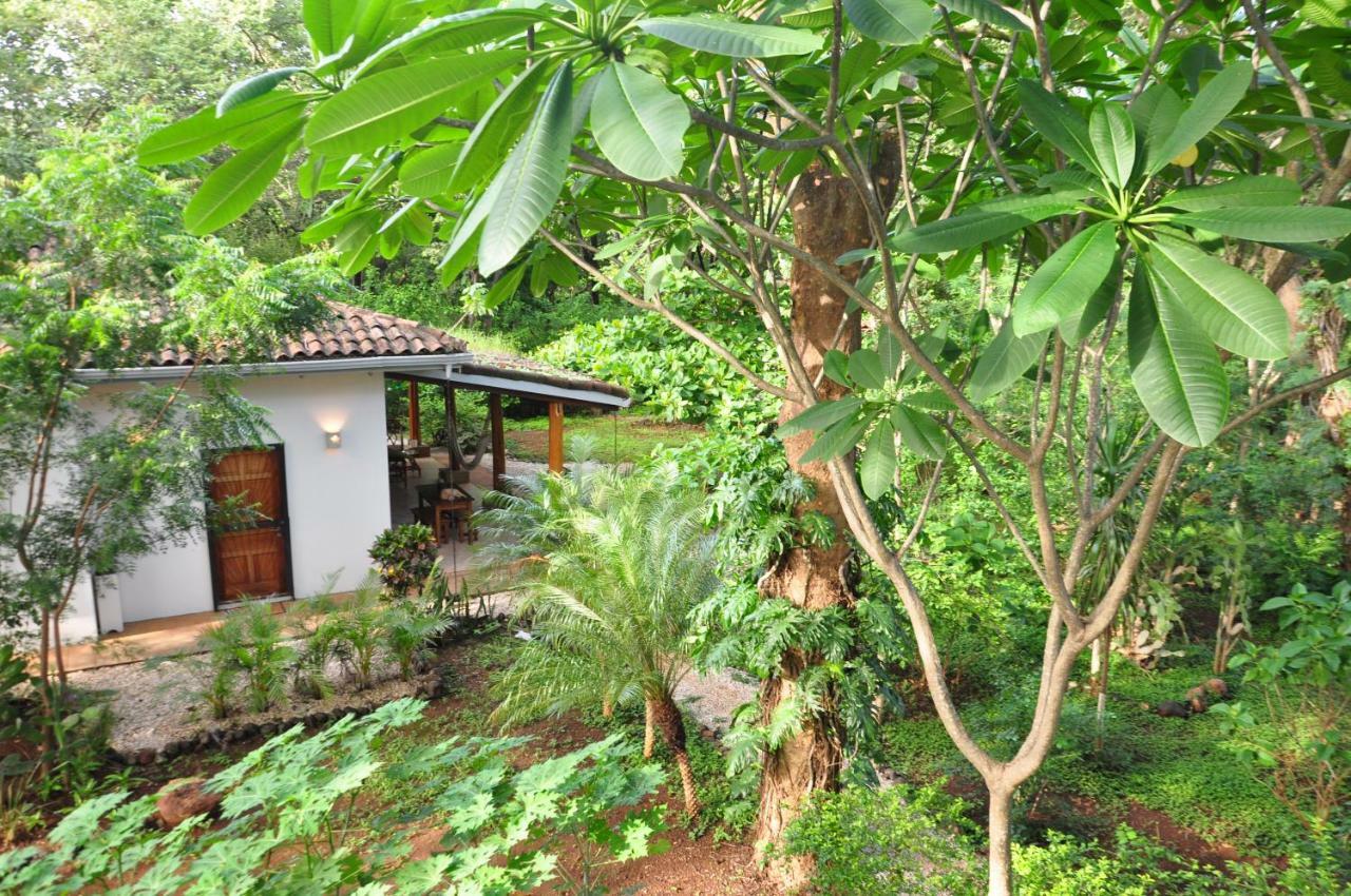 פלאיה אביאנאס Pazifico Villas מראה חיצוני תמונה